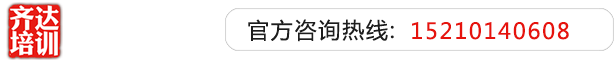 啊啊啊，别肏了，屄夹不住了齐达艺考文化课-艺术生文化课,艺术类文化课,艺考生文化课logo